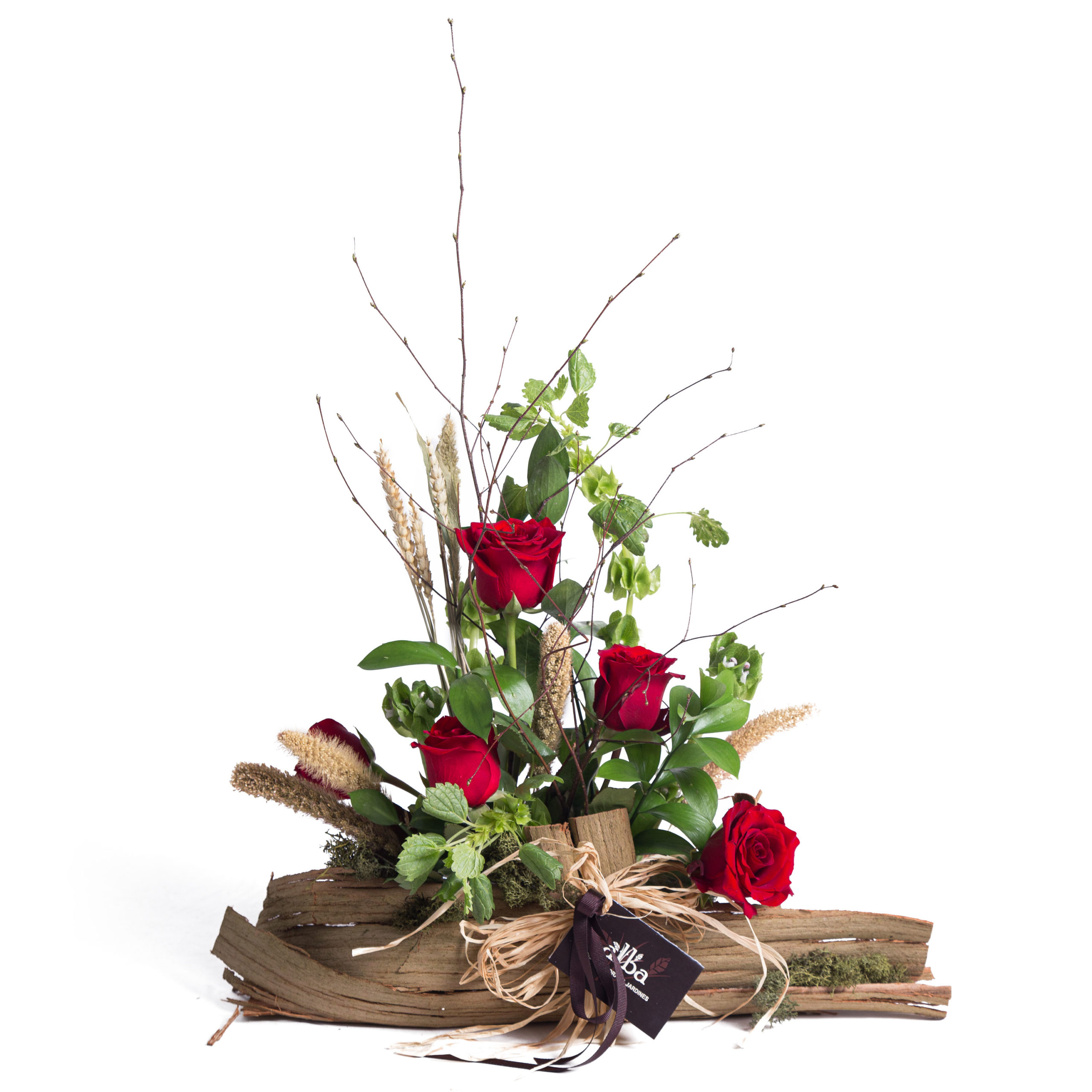 Base de rosas